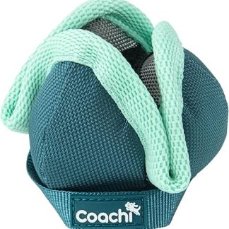 Coachi Puppy & Mini Chase & Treat, Ideal for Game & Hunting, Agility & Distance Training, Promotes Interaction, Good for Motivation, Distance Reward Training & Fetch Suitable for Dogs & Puppies