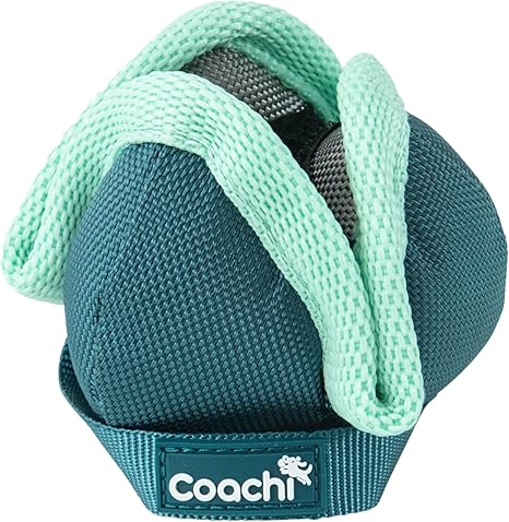 Coachi Puppy & Mini Chase & Treat, Ideal for Game & Hunting, Agility & Distance Training, Promotes Interaction, Good for Motivation, Distance Reward Training & Fetch Suitable for Dogs & Puppies
