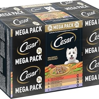 Cesar Megapack Landragout - Dog Food in Bowl - 4 Varieties in Multipack - 24 x 150 g