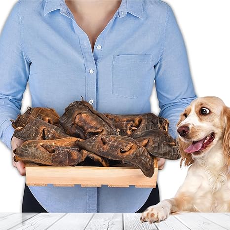 Cattle Noses for Dogs 1 kg Pack of 4 | Dried Beef Nose Chew Snack | 100% Natural | Grain Free | Air Dried | Chew Items for Small and Large Dogs