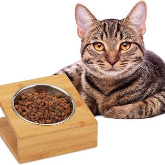 Relaxdays Bowl Station, Cats & Small Dogs, for Water and Food, Inclined Feeding Bowl, Stainless Steel, HBT 10 x 18 x 18, Natural, 1 Bowl