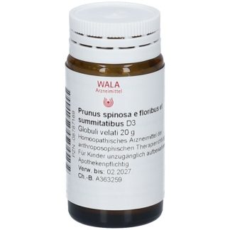 WALA® Prunus spinosa e floribus и Summitatibus D 3