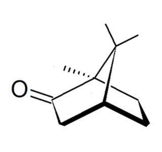 Camphora (Fincke) 10мг/10мл