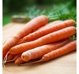 Carrot 10мг/10мл