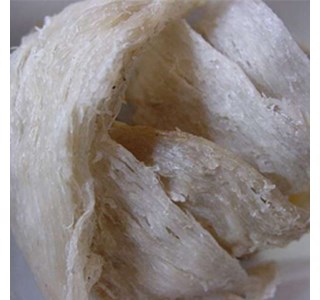 Cave Swiftlet´s nests 10мг/10мл