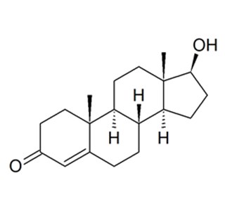 Testosteron basisch 10мг/10мл