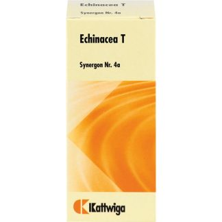Синергон Комплекс 4а, таблетки эхинацеи Т, 100 шт.