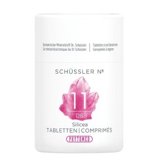 PHYTOMED SCHÜSSLER Nr11 Silicea Table D 6 100 г