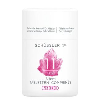 PHYTOMED SCHÜSSLER Nr11 Silicea Table D 12 Ds 100 г