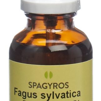 Spagyros Gemmo Fagus sylvatica Glyc Maz D 1 30 ml