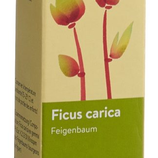 Spagyros Gemmo Ficus carica Glyc Maz D 1 Spr 30 мл