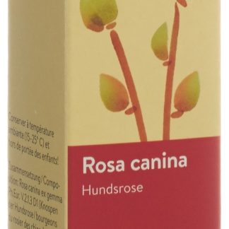 Spagyros Gemmo Rosa canina Glyc Maz D 1 Spr 30 мл