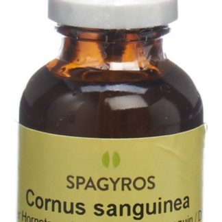 Spagyros Gemmo Cornus sanguinea Glyc Maz D 1 Spr 30 мл