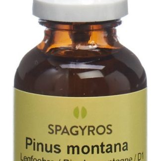 Spagyros Gemmo Pinus montana Glyc Maz D 1 Spr 30 ml