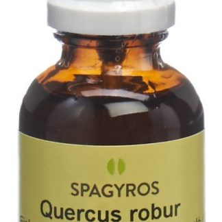 Spagyros Gemmo Quercus robur Glyc Maz D 1 Spr 30 мл