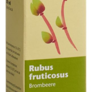 Spagyros Gemmo Rubus fruticosus Glyc Maz D 1 Spr 30 мл
