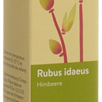 Spagyros Gemmo Rubus idaeus Glyc Maz D 1 Spr 30 мл