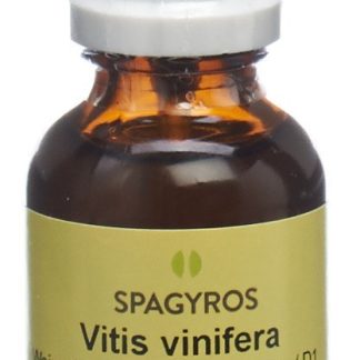 Spagyros Gemmo Vitis vinifera Glyc Maz D 1 Spr 30 мл