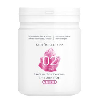 PHYTOMED SCHÜSSLER No. 2 Trit D 6 500 г
