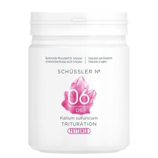 PHYTOMED SCHÜSSLER No. 6 Trit D 6 500 г