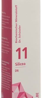 PHYTOMED SCHÜSSLER Nr11 Silicea Ointment D 6 500 g