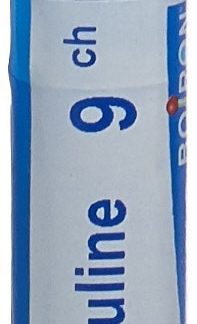 BOIRON Тимулин Гран CH 9 4 г