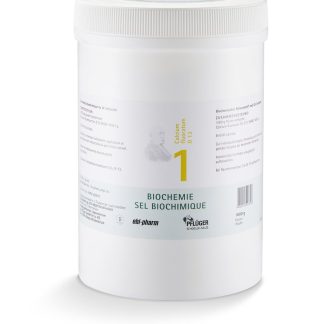 PFLÜGER SCHÜSSLER Nr1 Calc fluo Plv D 12 1 кг
