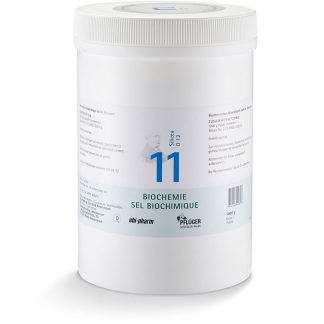 PFLÜGER SCHÜSSLER Nr11 Silicea Plv D 12 1 кг