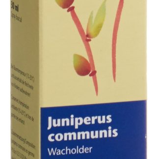 Spagyros Gemmo Juniperus communis Glyc Maz D 1 Spr 30 мл