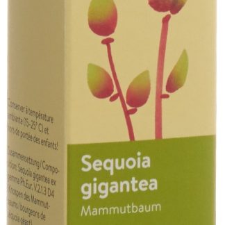 Spagyros Gemmo Sequoia gigantea Glyc Maz D 4 Spr 30 мл
