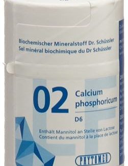 Таблетки PHYTOMED SCHÜSSLER № 2 D6, без лактозы, 500 г