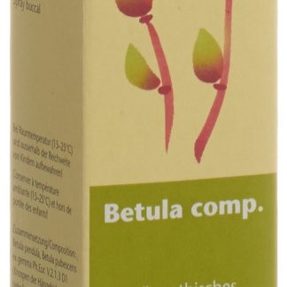 Spagyros Gemmo Betula comp Glyc Maz D 1 Spr 30 мл