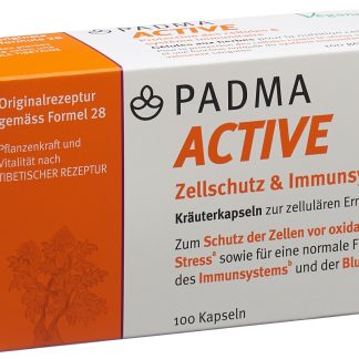 Капсулы PADMA ACTIVE, 100 шт.