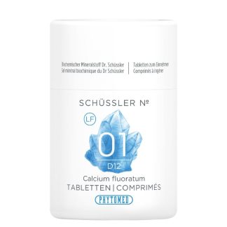 Таблетки PHYTOMED SCHÜSSLER № 1, D 12, без лактозы, 100 г