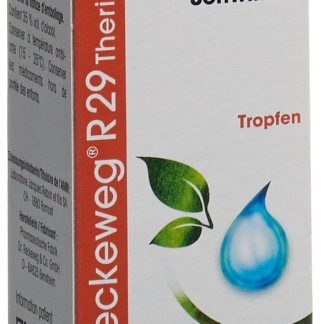 Dr. Reckeweg R29 Theridon Drops Fl 50 ml